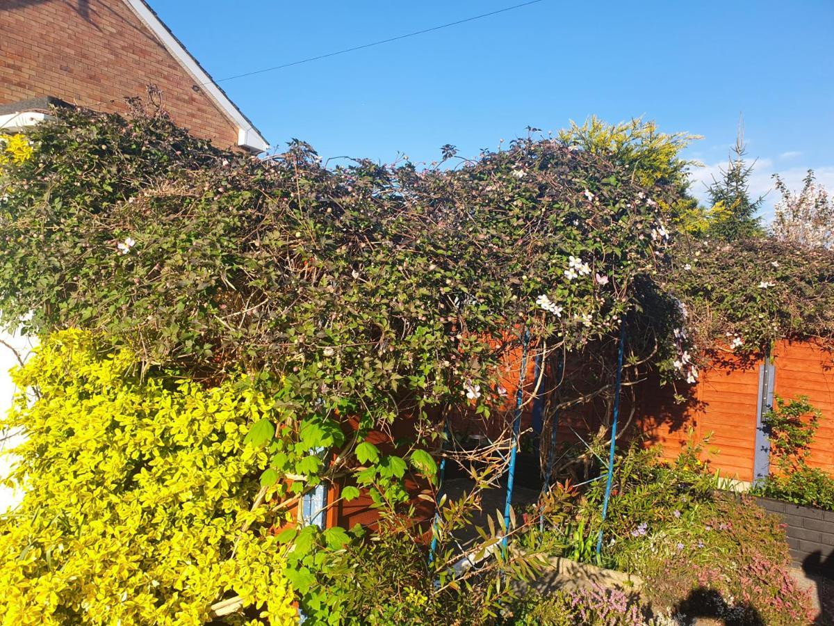 Penryn Guest House, Ensuite Rooms, Free Parking And Free Wifi Stratford-upon-Avon Exteriör bild